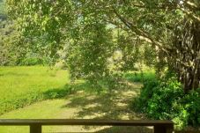 Bungalow in Avera -  RAIATEA - Fare Cascades Anaana 