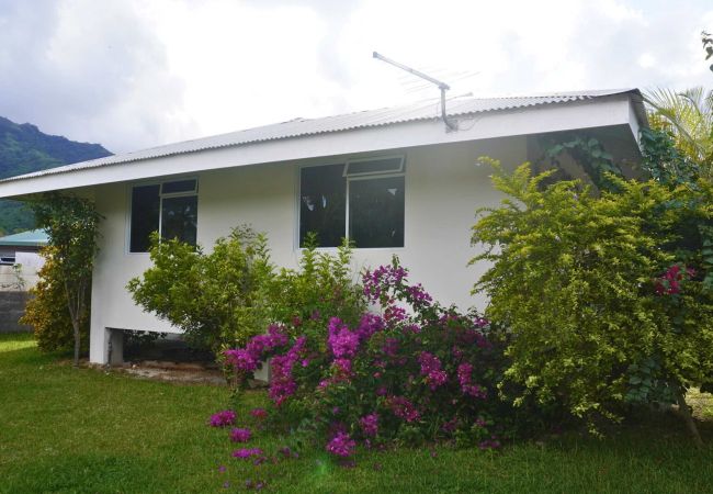 House in Temae - Moorea - Temae Reef Cottage 