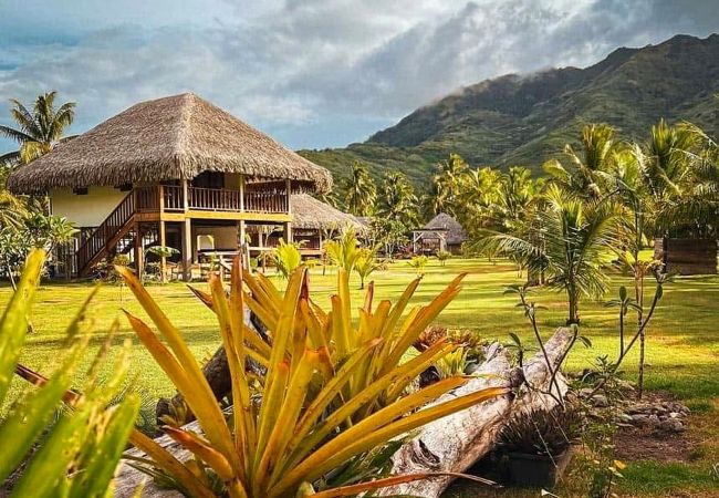 Bungalow in Tiaia - MOOREA - Fare Kautinaki Garden 