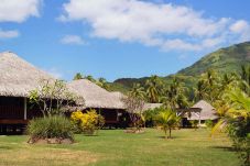 Bungalow in Tiaia - MOOREA - Bungalow SUKI Garden