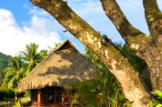 El bungalow