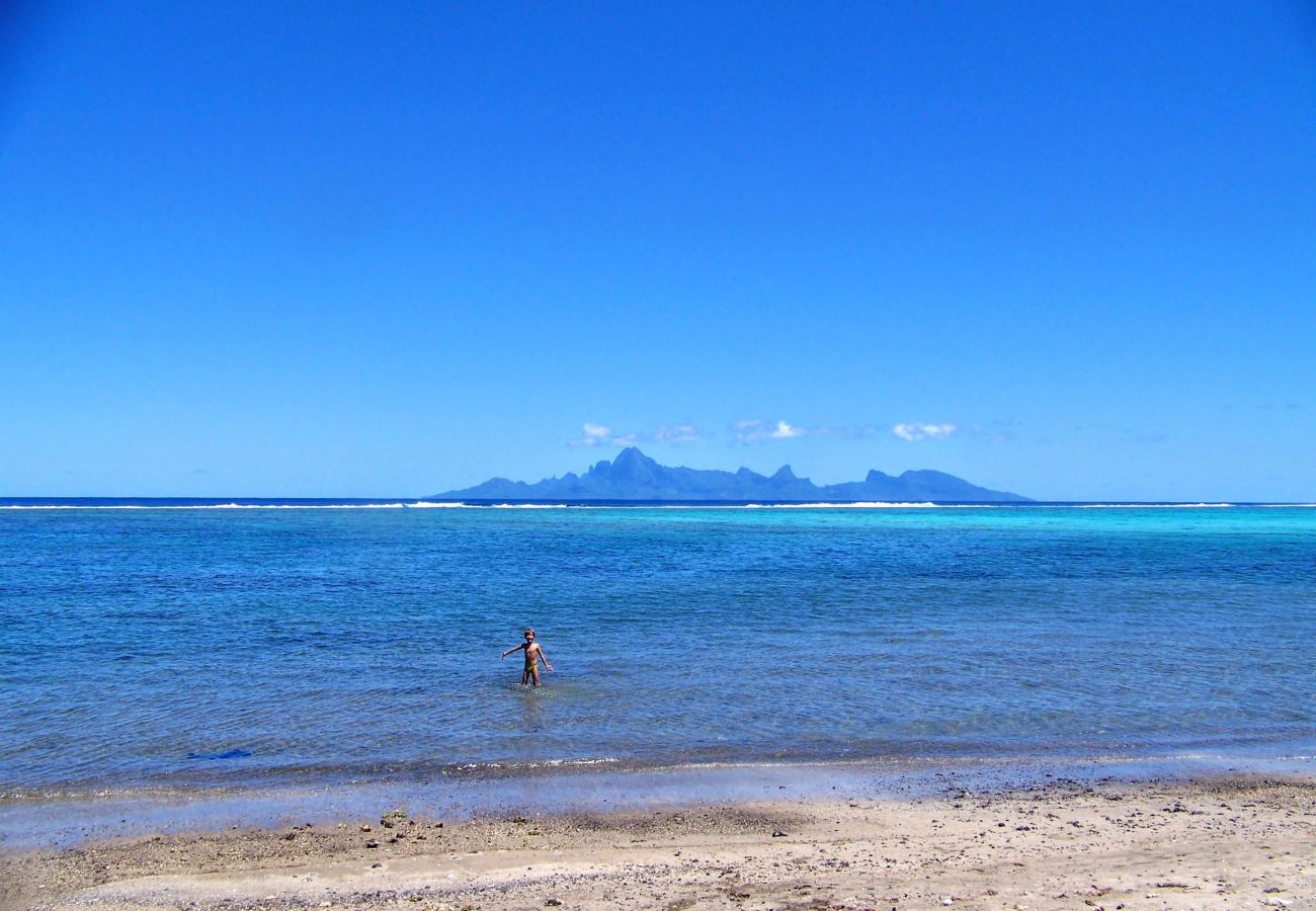 Vista de Moorea Vista de Moorea