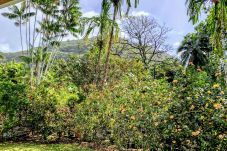 Casa en Mahina - TAHITI - Fare Mitinui Surf Break