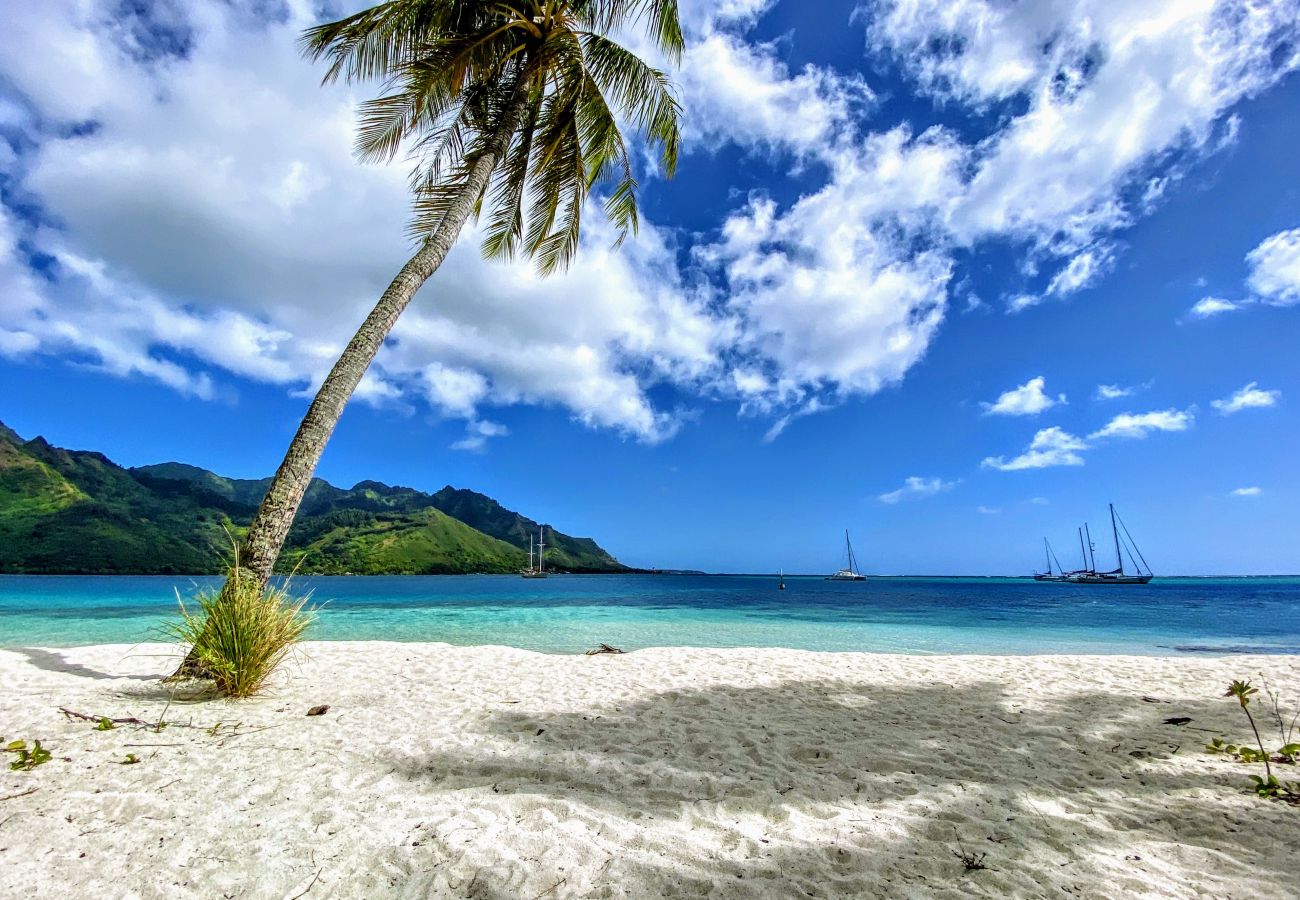 Bungalow en Pihaena - MOOREA - JUST CHILL INN Bungalow en Pihaena - MOOREA - JUST CHILL INN