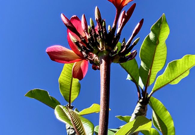 Apartamento en Nunue - BORA- Holidays Condo & Pool 1  Apartamento en Nunue - BORA- Holidays Condo & Pool 1