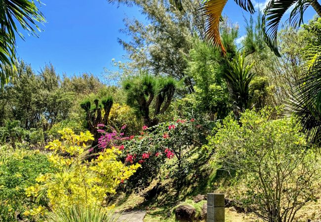 Bungalow en Nunue - BORA - Holidays Bungalow 1 Bungalow en Nunue - BORA - Holidays Bungalow 1