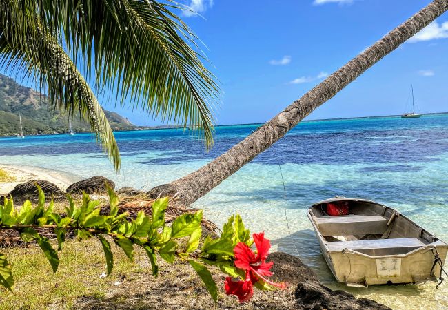 Bungalow en Pihaena - MOOREA - CHILL & RELAX Bungalow en Pihaena - MOOREA - CHILL & RELAX