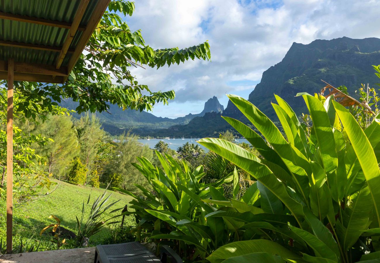 Apartamento en Paopao - MOOREA - PaoPao Cottage Apartamento en Paopao - MOOREA - PaoPao Cottage