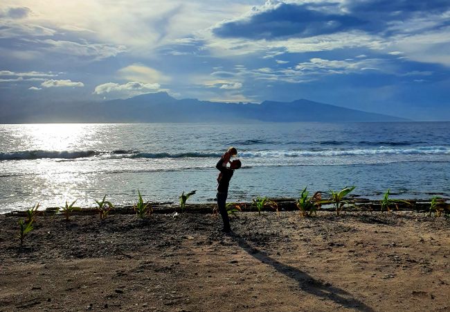 Casa en Temae - MOOREA - Fare Coraline Right Casa en Temae - MOOREA - Fare Coraline Right