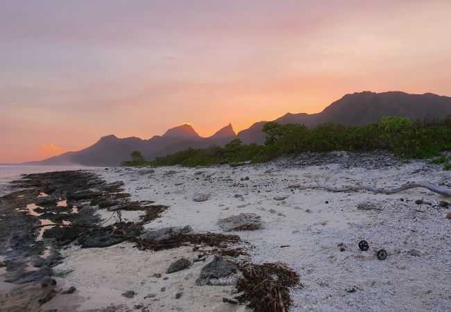 Casa en Temae - MOOREA - Fare Coraline Right Casa en Temae - MOOREA - Fare Coraline Right