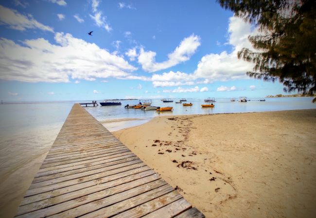 Bungalow en Tiahura - MOOREA - Tropical Soul Bungalow en Tiahura - MOOREA - Tropical Soul