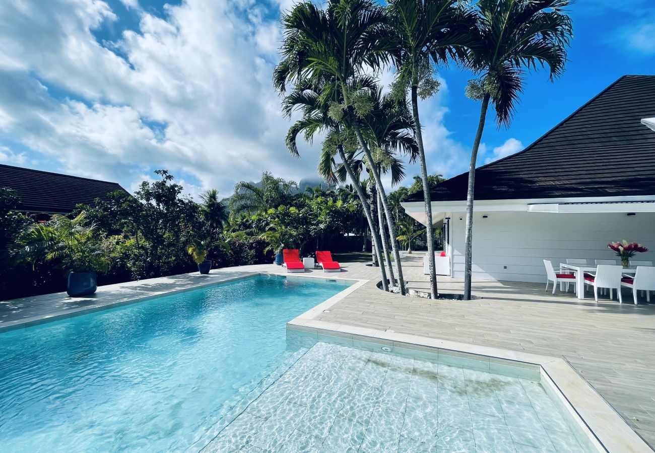 La piscina con zona de relax La piscina