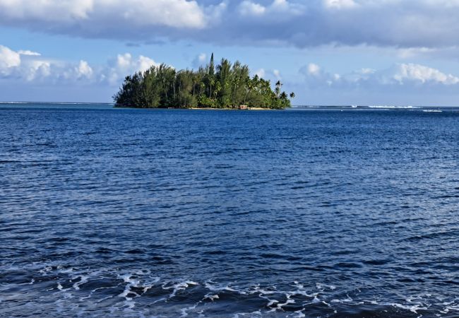 Alquiler por habitaciones en Teva I Uta - TAHITI - Mataiea BnB Alquiler por habitaciones en Teva I Uta - TAHITI - Mataiea BnB