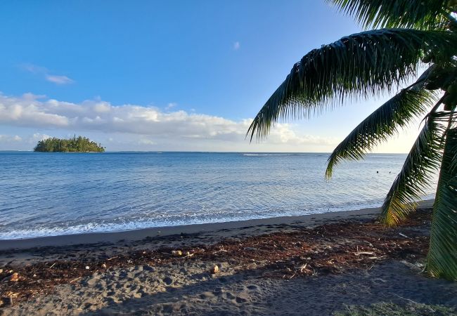 Alquiler por habitaciones en Teva I Uta - TAHITI - Mataiea BnB Alquiler por habitaciones en Teva I Uta - TAHITI - Mataiea BnB