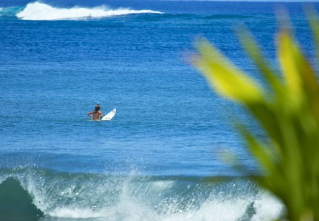 Casa en Papara - TAHITI - Taharuu Bungalow Surf Hoe  Casa en Papara - TAHITI - Taharuu Bungalow Surf Hoe