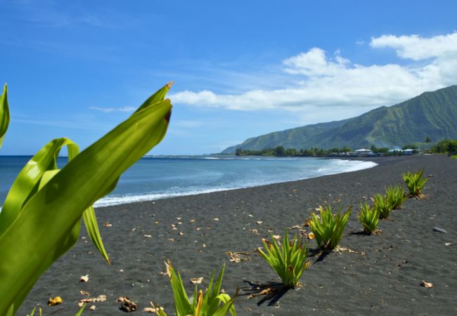 Casa en Papara - TAHITI - Taharuu Bungalow Surf Hoe  Casa en Papara - TAHITI - Taharuu Bungalow Surf Hoe