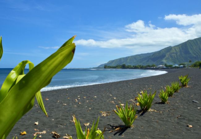 Casa en Papara - TAHITI - Taharuu Bungalow Surf Piti 