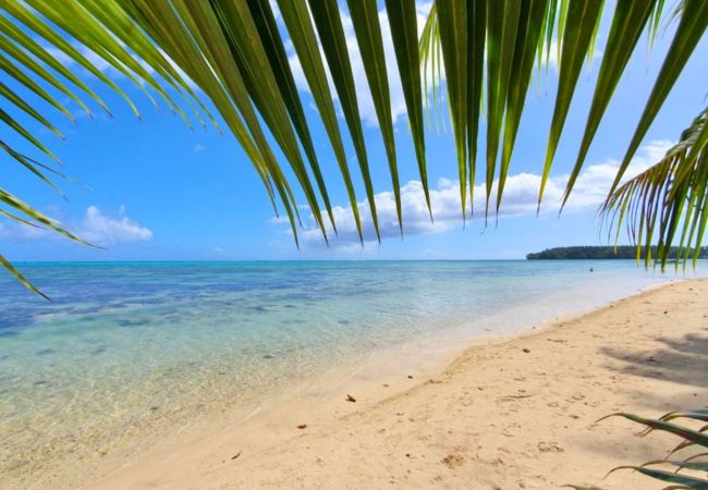 Estudio en Hauru - MOOREA - Studio Natura Cosy  Estudio en Hauru - MOOREA - Studio Natura Cosy
