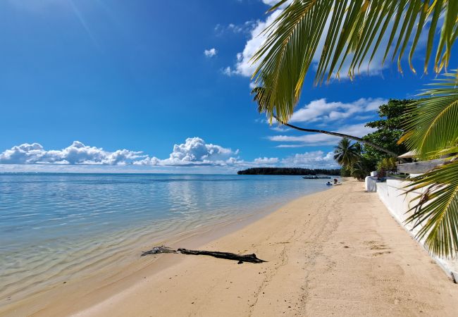 Bungalow en Hauru - MOOREA - Bungalow Fenua Bungalow en Hauru - MOOREA - Bungalow Fenua