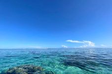 Bungalow en Papara - TAHITI - Bungalow Arii 