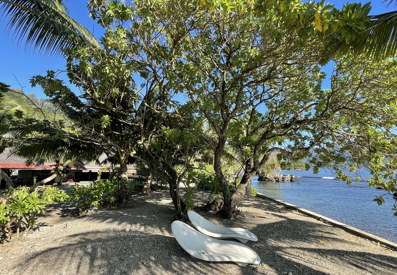 Bungalow en Afaahiti - TAHITI ITI - Bungalow Hoani Sea View Bungalow en Afaahiti - TAHITI ITI - Bungalow Hoani Sea View
