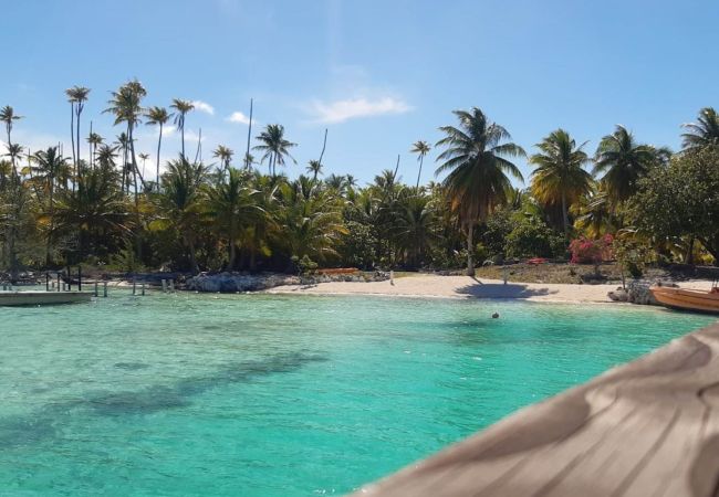 Casa en Manihi - MANIHI - Manihi Pool Lodge Casa en Manihi - MANIHI - Manihi Pool Lodge