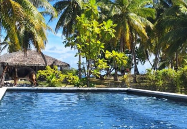 Casa en Manihi - MANIHI - Manihi Pool Lodge