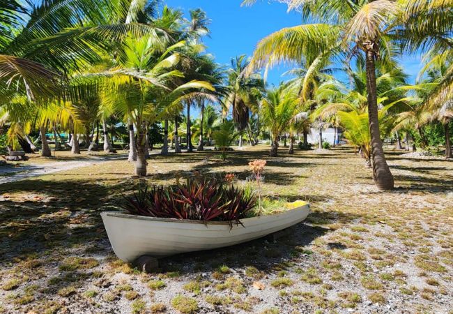 Casa en Manihi - MANIHI - Manihi Pool Lodge Casa en Manihi - MANIHI - Manihi Pool Lodge