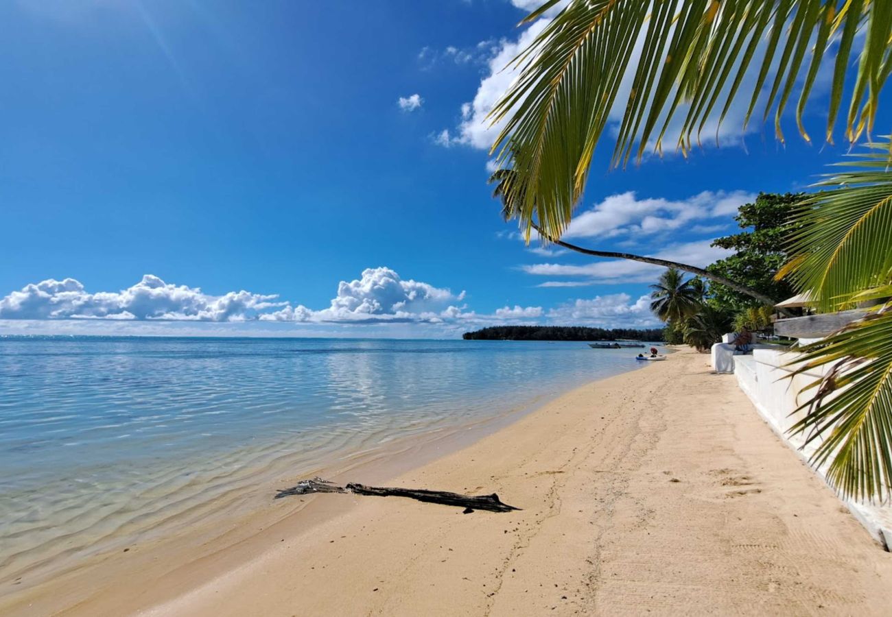 Estudio en Hauru - MOOREA - STUDIO CORAIL MOANA Estudio en Hauru - MOOREA - STUDIO CORAIL MOANA