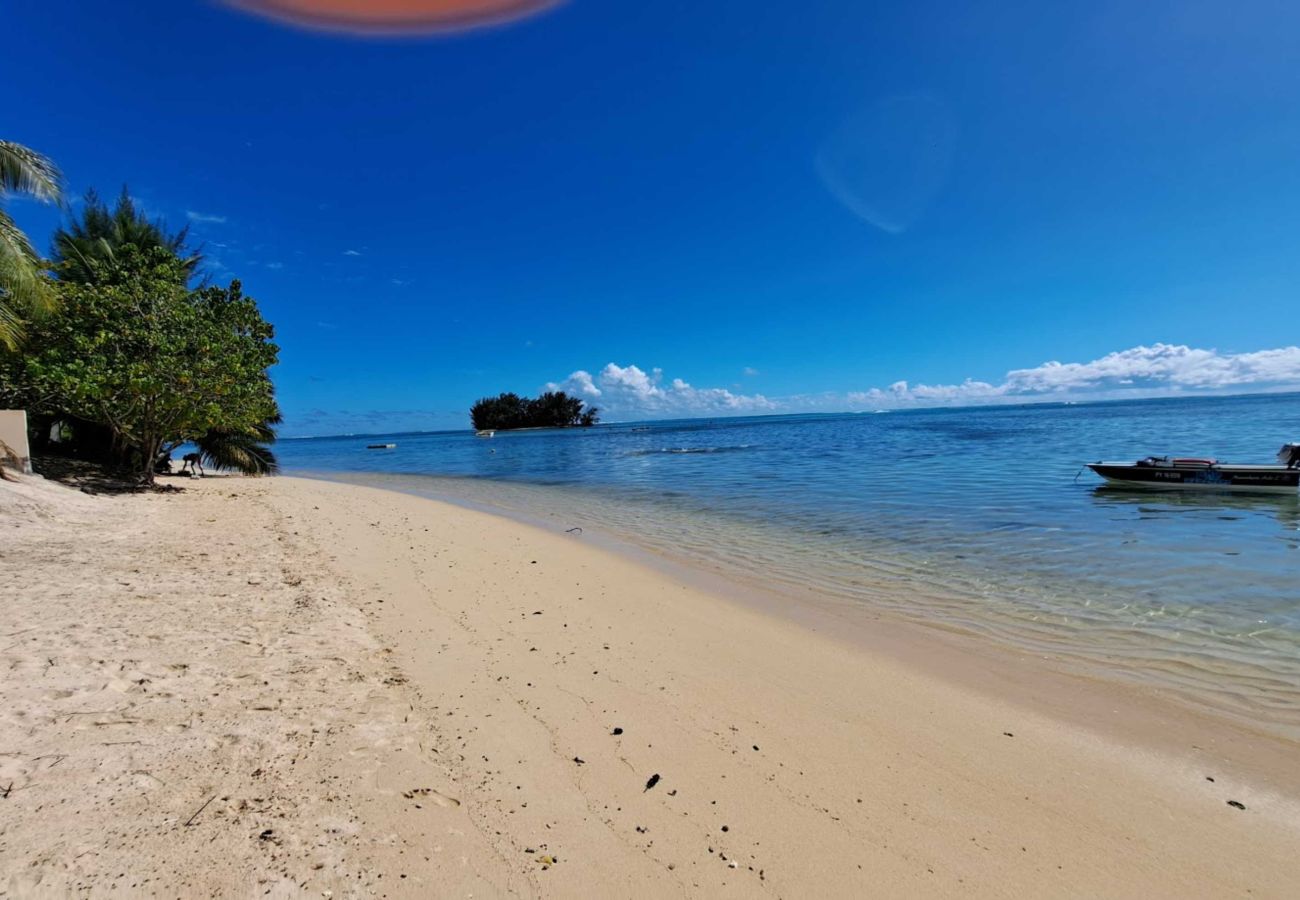 Estudio en Hauru - MOOREA - STUDIO CORAIL MOANA Estudio en Hauru - MOOREA - STUDIO CORAIL MOANA