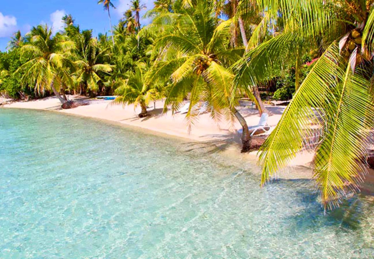 Bungalow en Ahe - AHE - Bungalow Moemoea Lagoon 1 Bungalow en Ahe - AHE - Bungalow Moemoea Lagoon 1