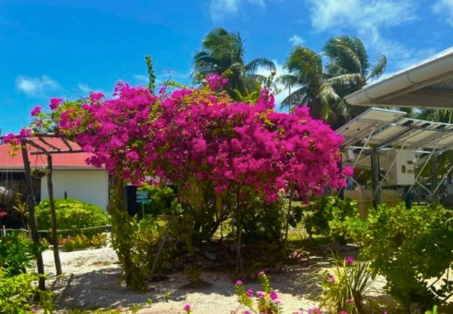 Bungalow en Ahe - AHE - Bungalow Moemoea Lagoon 2  Bungalow en Ahe - AHE - Bungalow Moemoea Lagoon 2