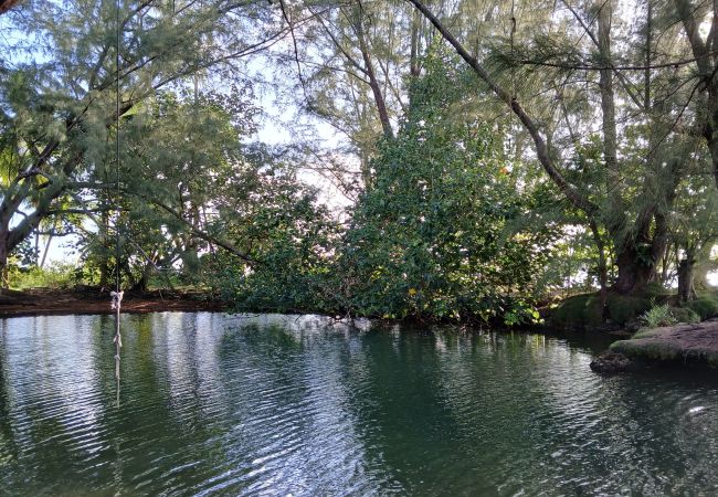 Casa en Taiarapu-Ouest - TAHITI ITI - Fare Komako Spot  Casa en Taiarapu-Ouest - TAHITI ITI - Fare Komako Spot