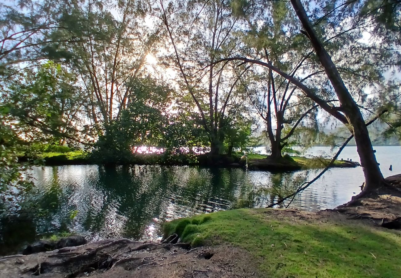 Casa en Taiarapu-Ouest - TAHITI ITI - Fare Komako Spot  Casa en Taiarapu-Ouest - TAHITI ITI - Fare Komako Spot