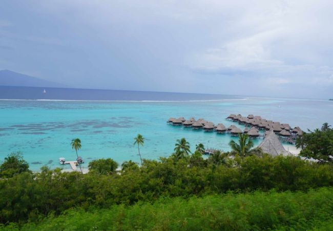 Bungalow en Haapiti - MOOREA - Bungalow Anua Ute Ute  Bungalow en Haapiti - MOOREA - Bungalow Anua Ute Ute