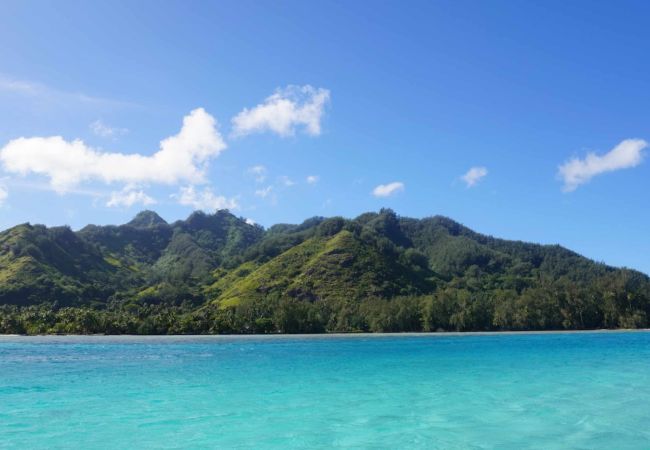 Bungalow en Haapiti - MOOREA - Bungalow Anua Ute Ute  Bungalow en Haapiti - MOOREA - Bungalow Anua Ute Ute