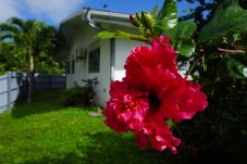 Casa en Papetoai - MOOREA - Fare Moohono Tohora