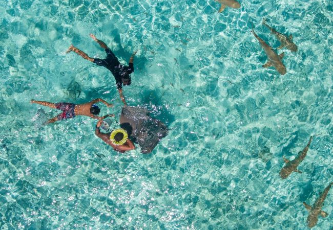 Casa en Faanui - BORA BORA - Villa Pearl Casa en Faanui - BORA BORA - Villa Pearl