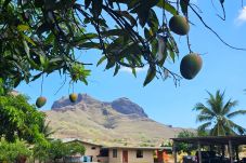 Alquiler por habitaciones en Taiohae - NUKU HIVA - Taiohae Bay Room + Free Breakfast 1 