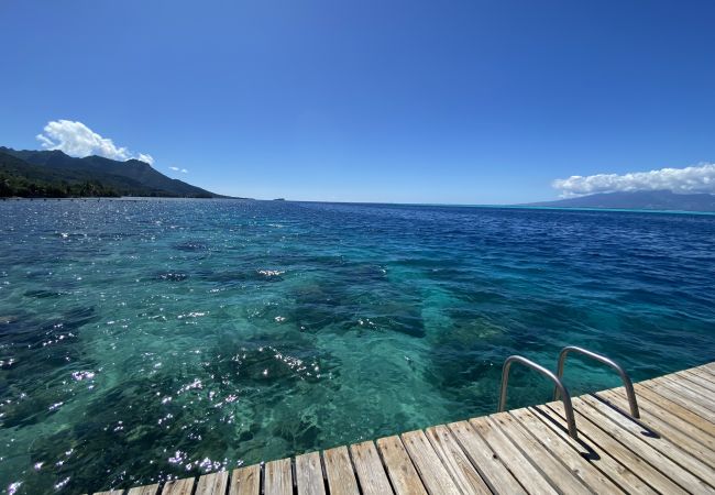 Bungalow en Maatea - MOOREA - Naku Kahi Bungalow 4 BeachView Bungalow en Maatea - MOOREA - Naku Kahi Bungalow 4 BeachView