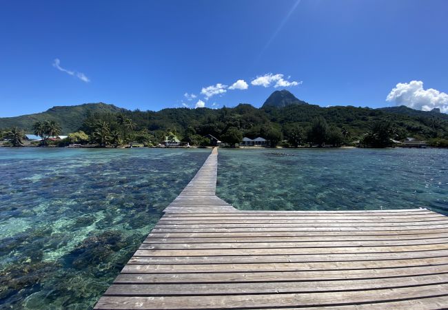Bungalow en Maatea - MOOREA - Naku Kahi Bungalow 4 BeachView Bungalow en Maatea - MOOREA - Naku Kahi Bungalow 4 BeachView