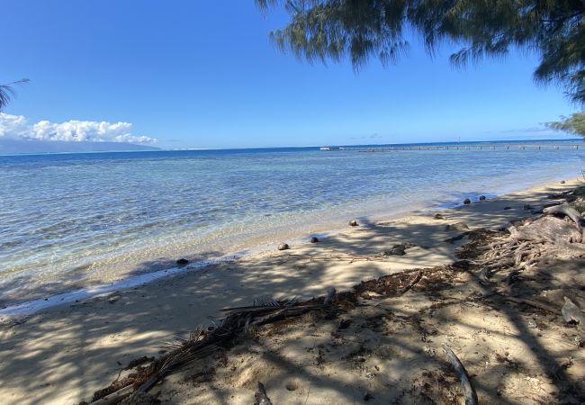 Bungalow en Maatea - MOOREA - Naku Kahi Bungalow 