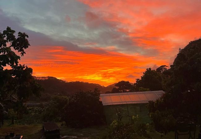 Estudio en Huahine-Nui - HUAHINE-FISH LODGE Estudio en Huahine-Nui - HUAHINE-FISH LODGE