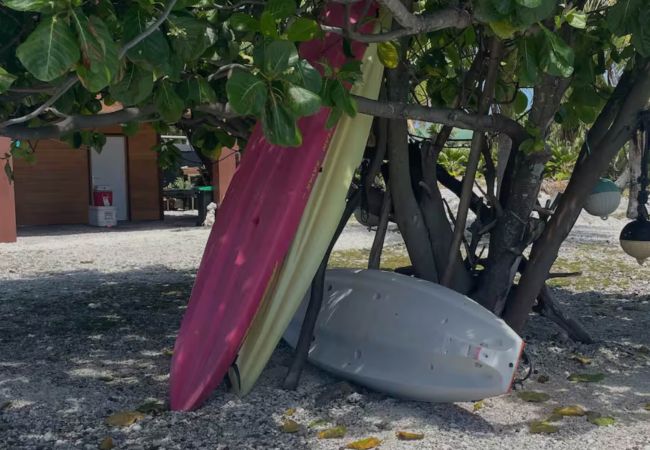Estudio en Fakarava  - FAKARAVA- ANA LAGOON LODGE 1 Estudio en Fakarava  - FAKARAVA- ANA LAGOON LODGE 1