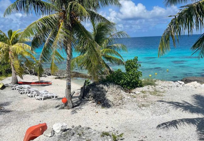 Estudio en Fakarava  - FAKARAVA - ANA LAGOON LODGE HO E