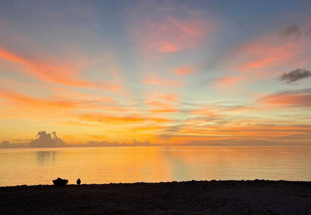 Estudio en Fakarava  -  FAKARAVA - ANA LAGOON LODGE - PITI