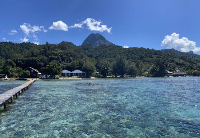 Bungalow en Maatea - MOOREA - Naku Kahi Bungalow 2 Bungalow en Maatea - MOOREA - Naku Kahi Bungalow 2