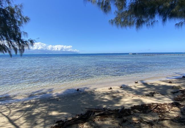 Bungalow en Maatea - MOOREA - Naku Kahi Bungalow 3 Bungalow en Maatea - MOOREA - Naku Kahi Bungalow 3
