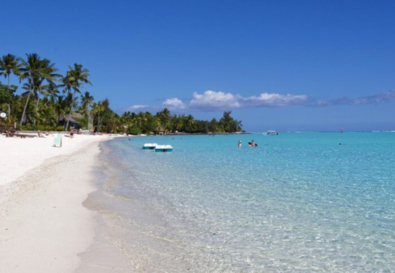 Estudio en Nunue - BORA-BORA - Horizon Lodge hoe 