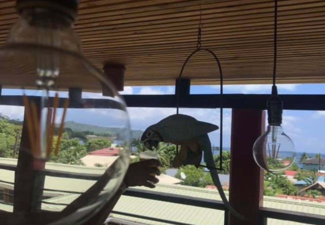 Estudio en Nunue - BORA-BORA Bora Horizon Lodge 4  Estudio en Nunue - BORA-BORA Bora Horizon Lodge 4